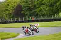 cadwell-no-limits-trackday;cadwell-park;cadwell-park-photographs;cadwell-trackday-photographs;enduro-digital-images;event-digital-images;eventdigitalimages;no-limits-trackdays;peter-wileman-photography;racing-digital-images;trackday-digital-images;trackday-photos